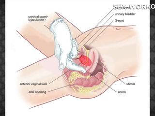 Анално удоволствие медицински човек