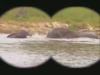 Park kruger: ücretsiz kruger park seks mov fa